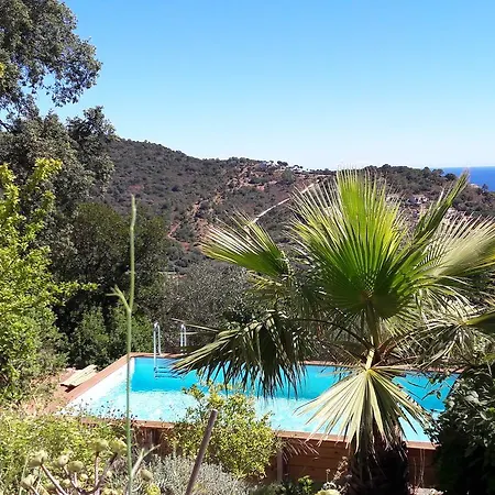 Вилла Domise Конка