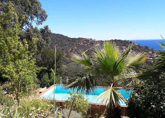 빌라 Domise 콩카